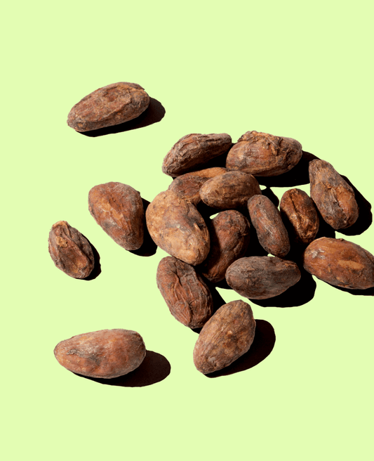 5 beneficios del cacao para nuestro cabello