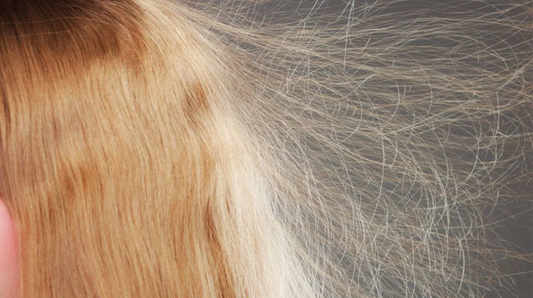 Electricidad estática en el cabello: causas y cómo eliminarla este otoño