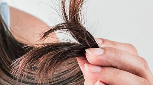 Terminología básica de hair beauty II: Densidad, volumen y frizz